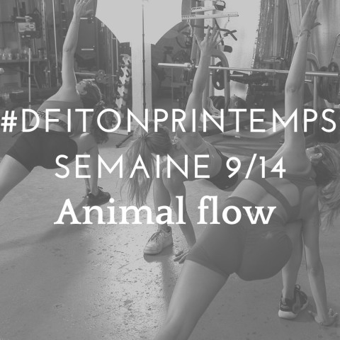DFITONPRINTEMPS 9 Animal flow 