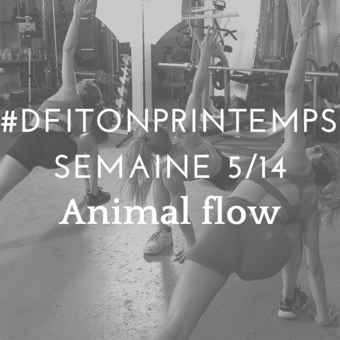 DFITONPRINTEMPS 5 Animal flow 