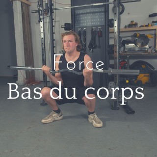 Force bas du corps 